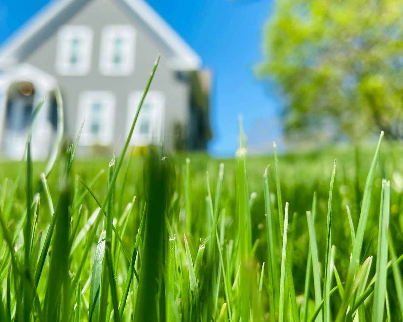 Grand Prairie Lawn Care Services