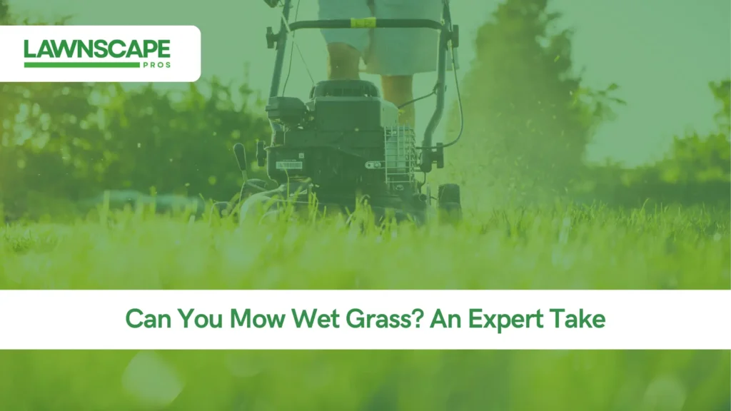 An Expert Take on Mowing Wet Grass