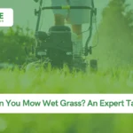 An Expert Take on Mowing Wet Grass