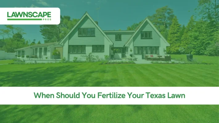 When Should You Fertilize Your Texas Lawn