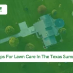 Expert Tips For Lawn Care In The Texas Summer Heat