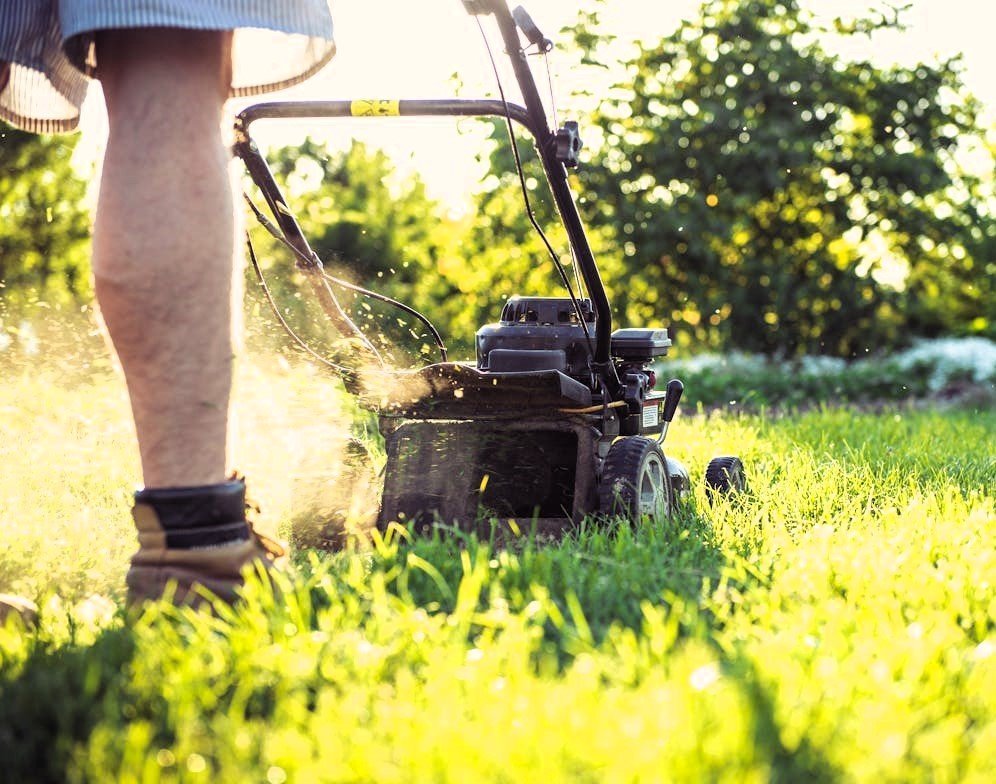 Lawn Mowing Services in Arlington